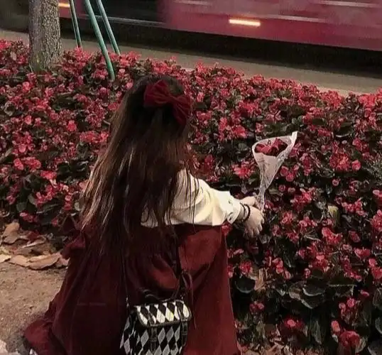 女生头像  #玫瑰花  #头像点赞即可抱走哦