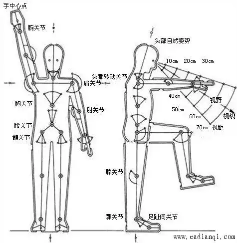 人体各部位活动范围示意图