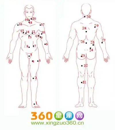 男人生殖有痣:招桃花.生殖器官上有痣性欲强烈,容易发生桃花劫.