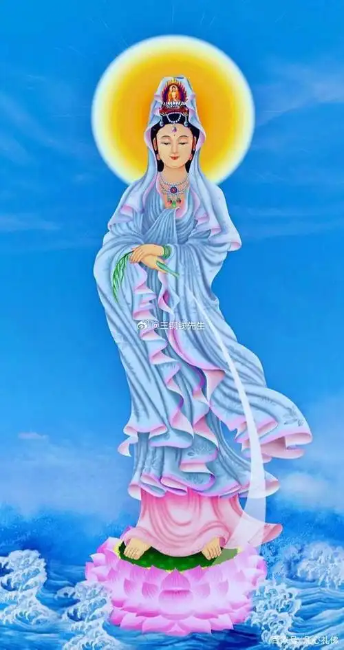 盗取天机##张子枫瘦好多