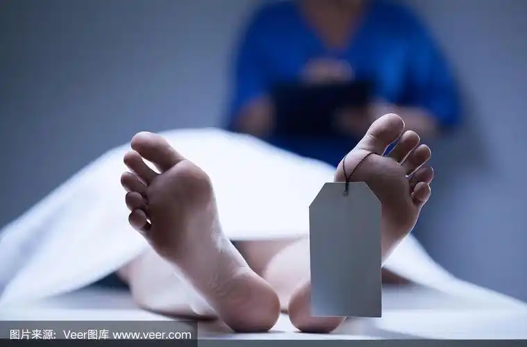 身份,太平间,法学,水平画幅,人类脚趾