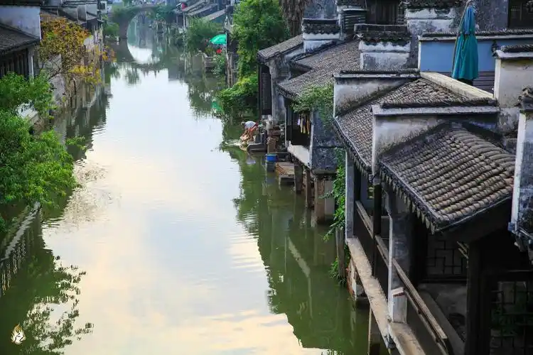 最爱小桥流水人家重庆人镜头下的江南水乡