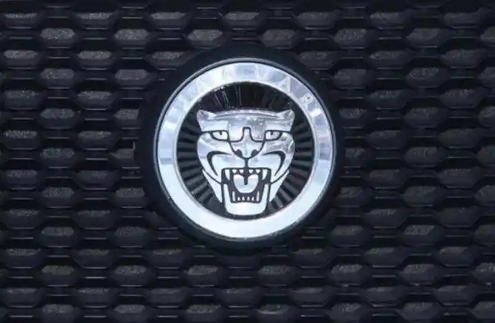 豹子车标是什么车?