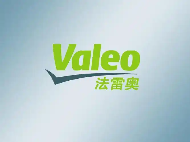 (重要)法雷奥公司ppt模板参选_word文档在线阅读与下载_无忧文档