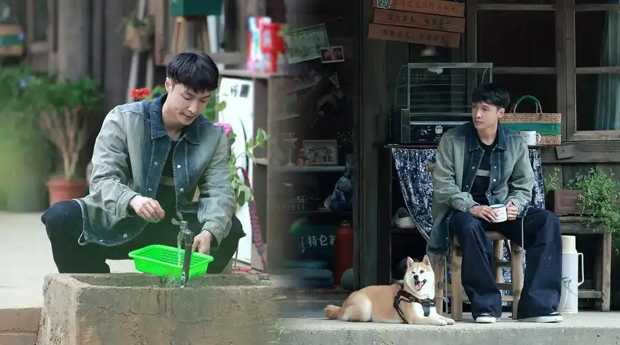 张艺兴向往的生活可爱向