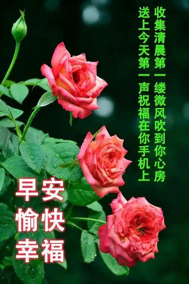 7张有创意免打字早上好图片带祝福语2021温馨的春天早上好问候语图片