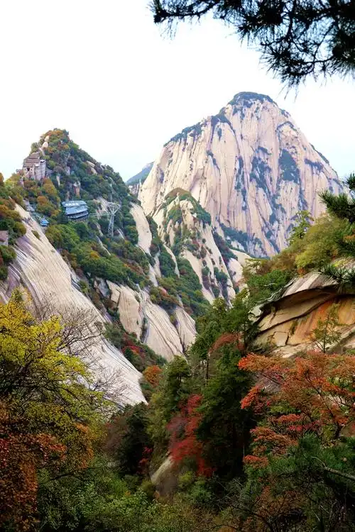 华山有多美有多险?亲自去爬一次就知道了!