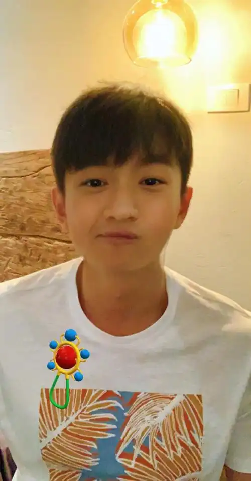 林更新问游乐王子是谁网友雨女无瓜