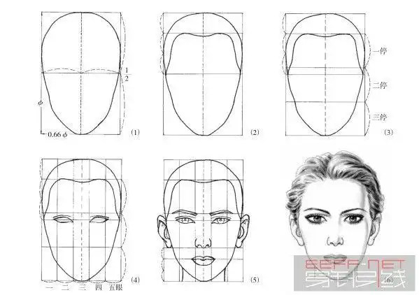 面部五官结构与画法,很详细的,希望对大家有帮助