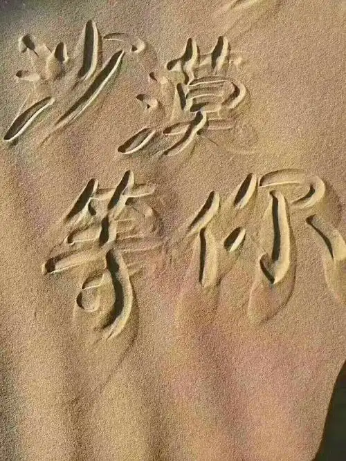 美丽的库布齐沙漠,风里雨里,我在沙漠等你