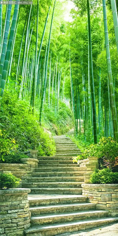 绿竹石头小径玄关背景墙