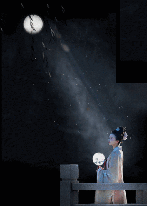 522_733竖版 竖屏gif 动态图 动图