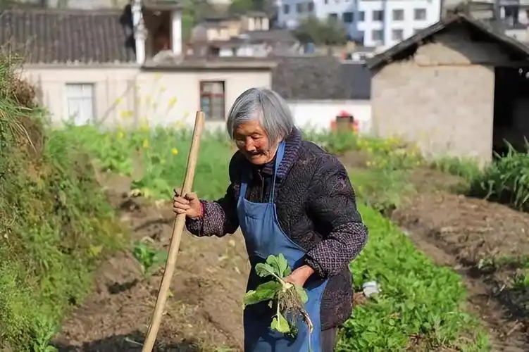 2011年老人去世,两年后银行告他欠债5万,家属怒斥: