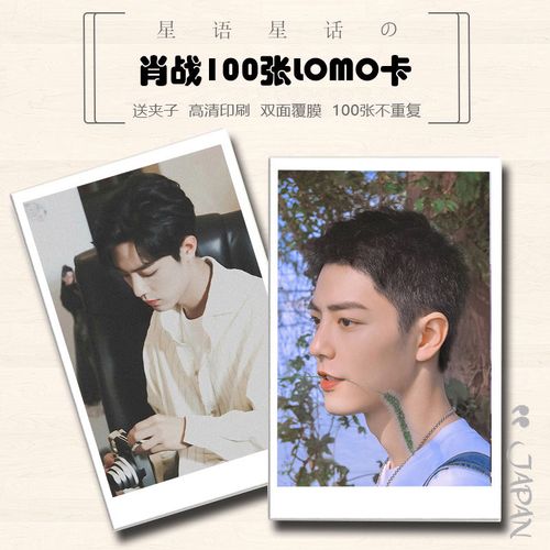 肖战个人写真照片小卡周边100张lomo卡片 跨年演唱会照片墙钱包照