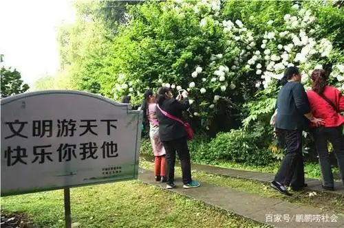 台湾一女游客身穿"绳子"逛长滩岛被罚款:我经常这样穿!