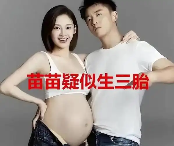 有一种"算计"叫郑恺与苗苗,结婚3年,两人各怀鬼胎互相没嫌弃|婚姻|程