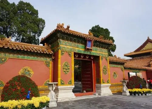 北京故宫开封菊花展