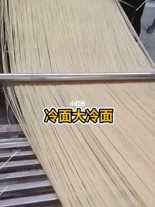 东北冷面加工机器制作过程