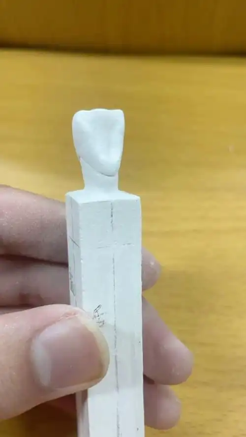 自己雕的第一颗中切牙