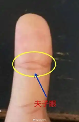 佛眼纹在大拇指根部与手掌连接的地方,一个小圈连着一个小圈呈链状.