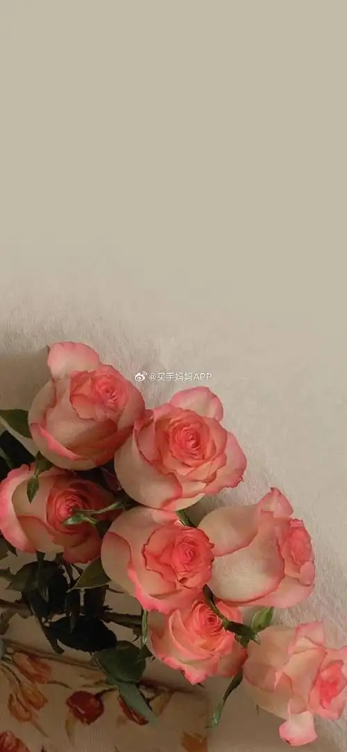 高清壁纸可爱壁纸锁屏壁纸ins壁纸##背景图朋友圈背景图表情包##女生