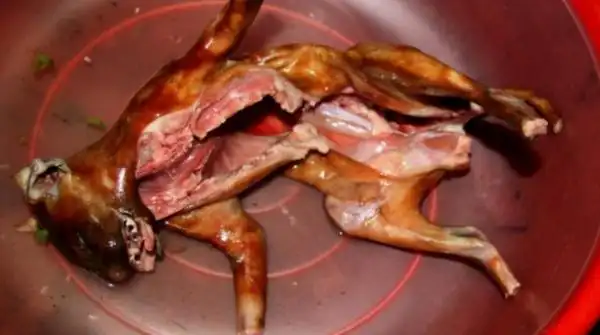 活猫越南当局为了减鼠害而禁止吃猫,尽管如此,很多越南人热衷食用猫肉