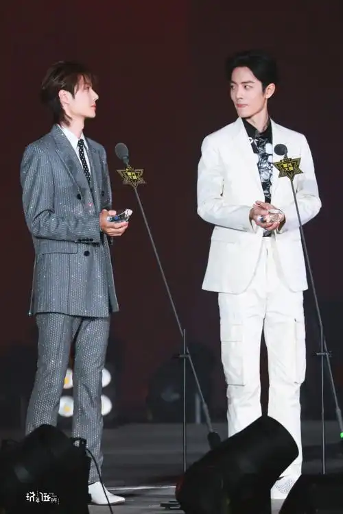 肖战 王一博 星光大赏