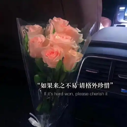 抖音最火的壁纸,抖音壁纸小程序有哪些(抖音热门文字朋友圈背景图)