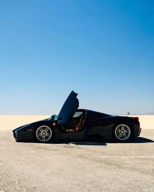 【图】传奇跑车,the legendary ferrari enzo_法拉利论坛_汽车之家