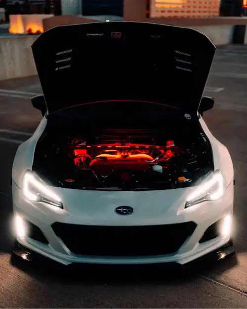 1080_1351竖版 竖屏