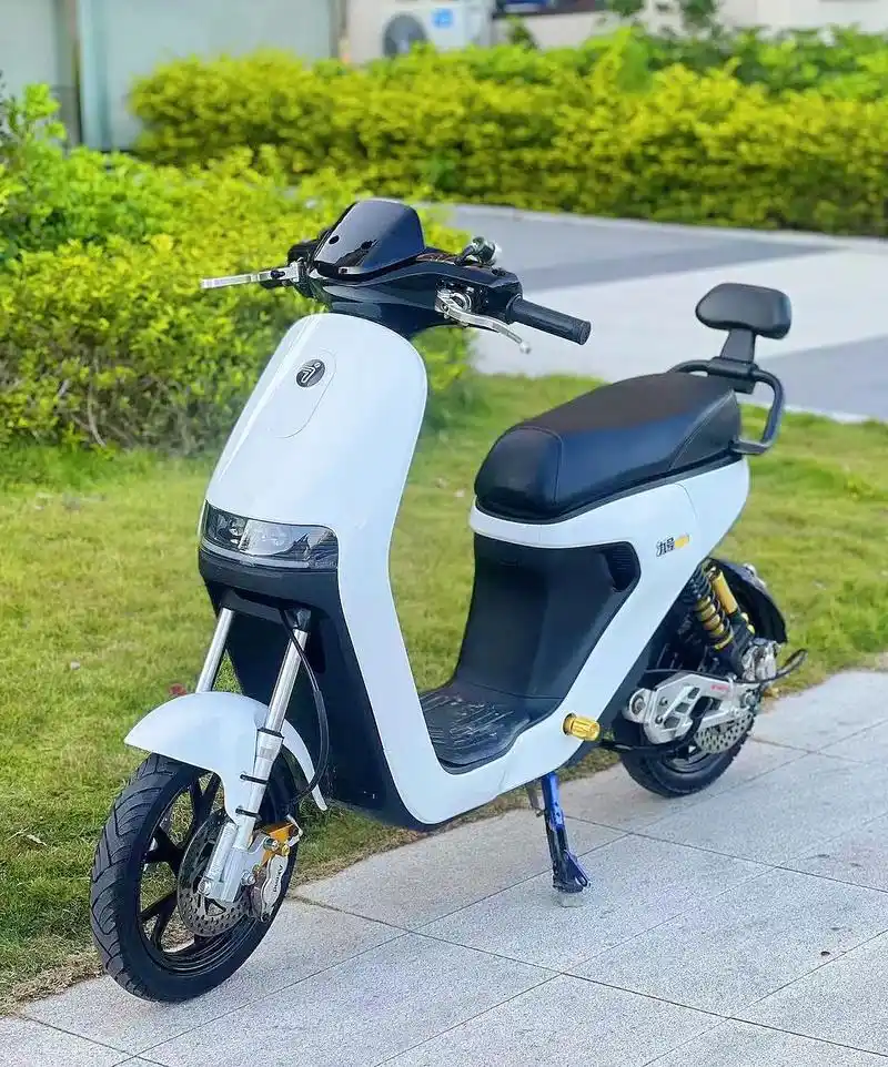 2023年激活的九号c90电动车(可上牌)搭配48v25a - 抖音