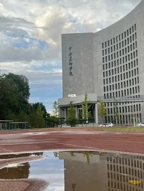 想问问北京籍的美术生会选择上央美附中吗?