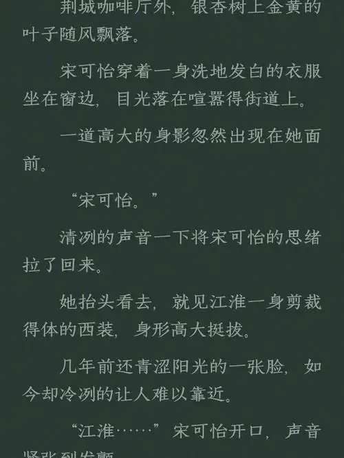 宋可怡江淮宋可怡江淮现代全文阅读
