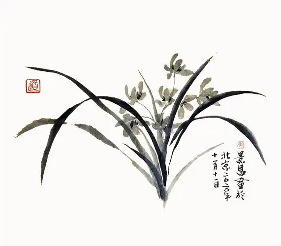 张景昌的中国画兰花