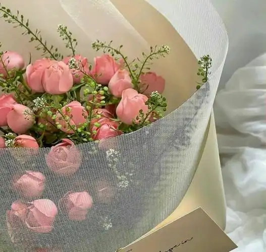 ins风高质量背景图|希望我能成为你的小众爱好