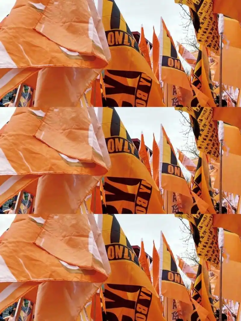 tfboys大旗 大旗壁纸!我真的好爱