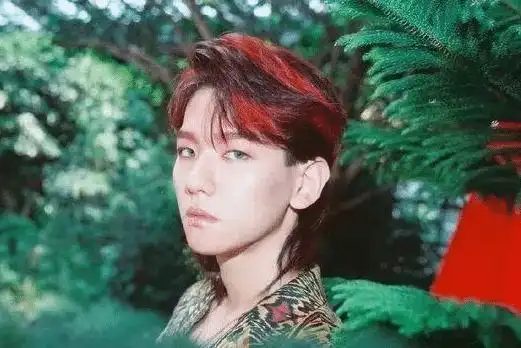 吴亦凡的发型是什么鱼头(鲻鱼头发型吴亦凡好看)(8)