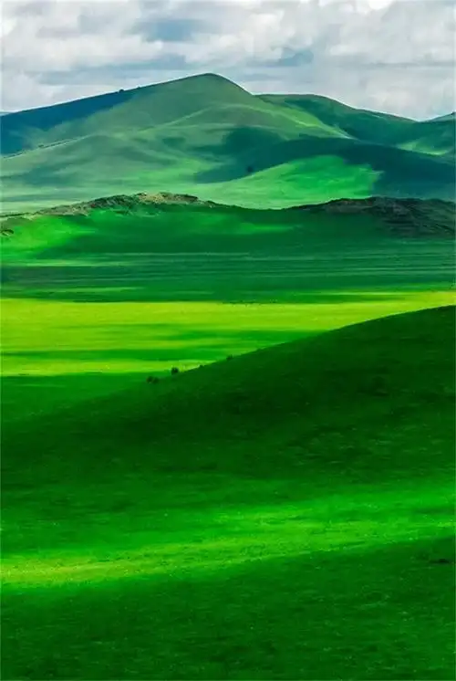 草原天路十大最美丽的公路之一の坝上草原七彩森林骑马篝火烤全羊