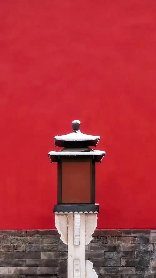 宫墙应闻簌簌密雪浩若飞花