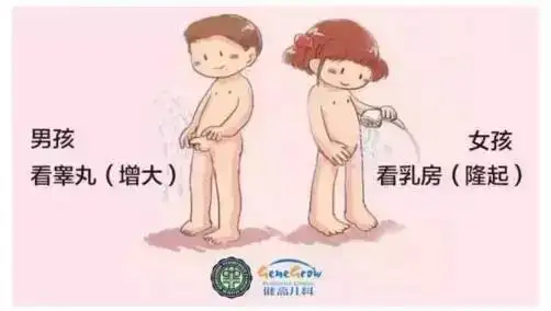 早发育为何"偏爱"女孩子?原因仅仅是