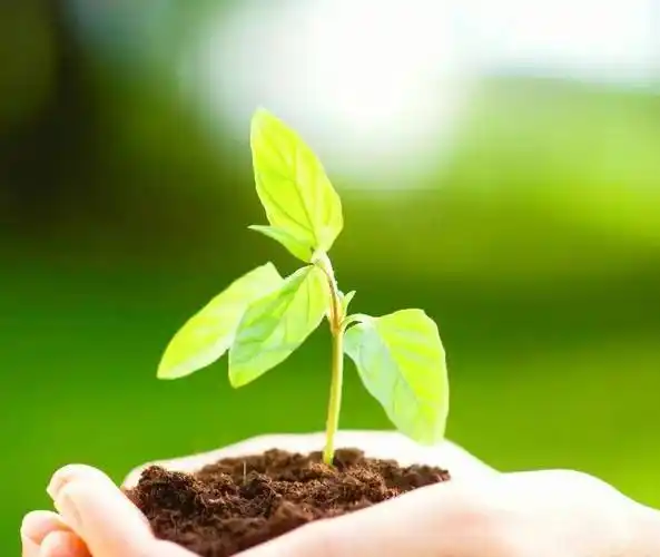 何炅 胡歌 刘涛 钟楚曦 龚俊 周深 肖战 杨紫 曾舜晞 刘诗诗_生活