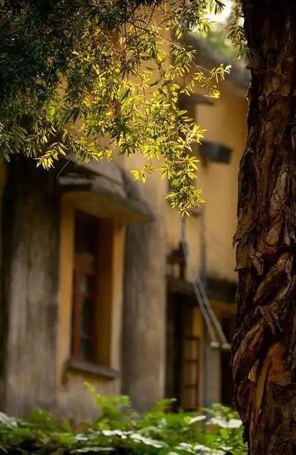 怀念过去的句子将美好的回忆留在曾经,怀念曾经过往的美好的句子(别