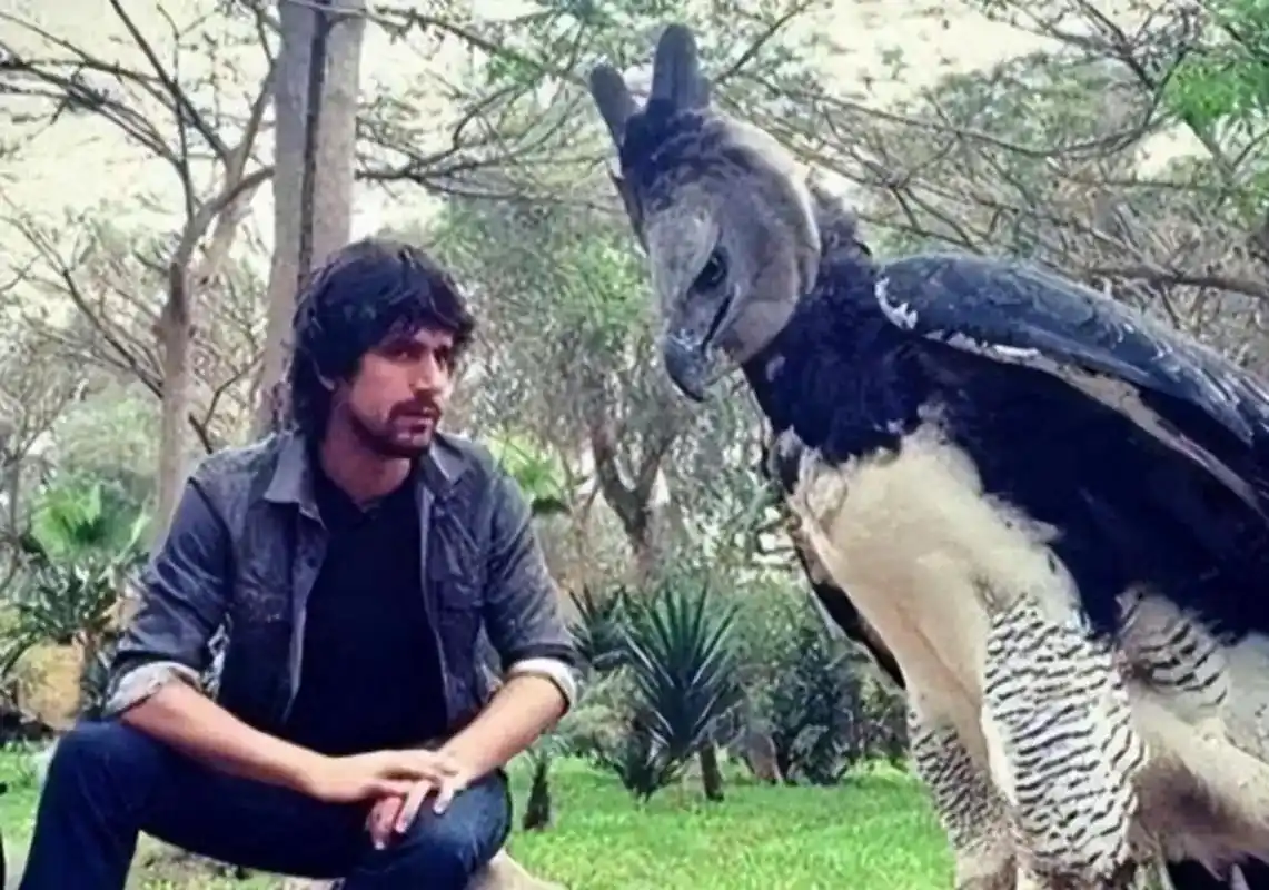 人类与自然:这是传说中的杨过与雕兄?