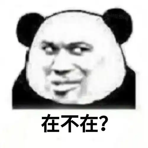 连环问别人在不在表情包在吗在不在真的不在吗