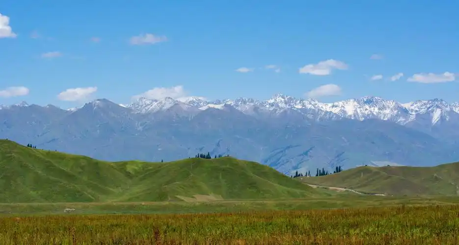 新疆可可托海—那拉提