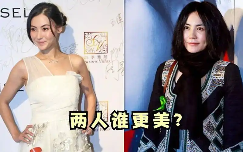 王菲和张柏芝谁更美?俩人走红毯差距太明显,完全不是一个档次的