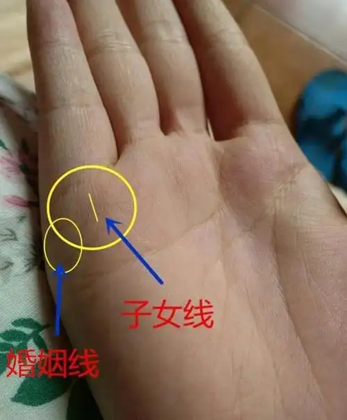 "此处"长这种最有财气_婚姻线