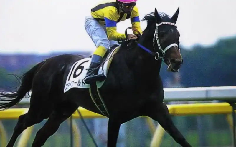 黄金旅程比赛合集⑤