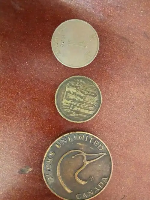 加拿大鸭子铜章一个,一元港币一