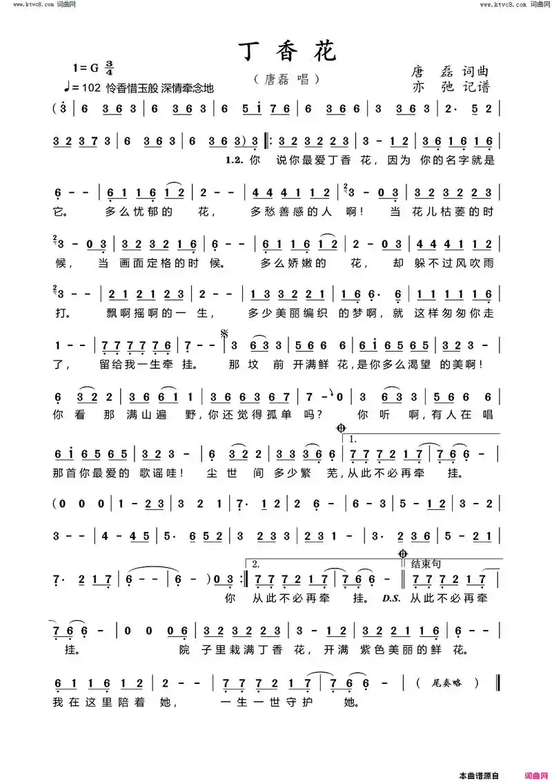 丁香花简谱-唐磊演唱-唐磊/唐磊词曲1